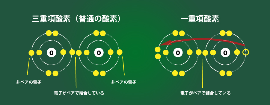 三重項酸素と一重項酸素の違い