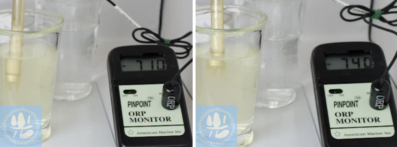 パウダー溶解90分後のORP値