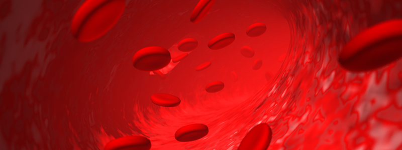 血液の画像
