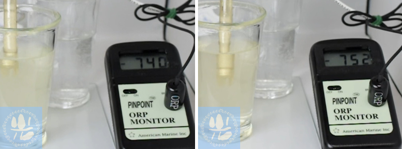 パウダー溶解210分後のORP値