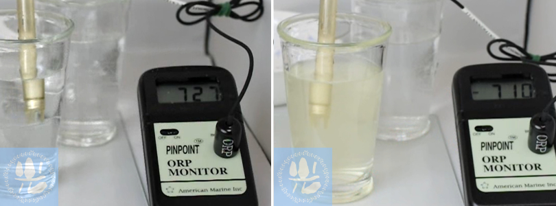 パウダー溶解直後のORP値