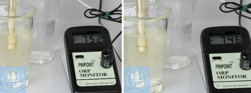 パウダー溶解360分後のORP値